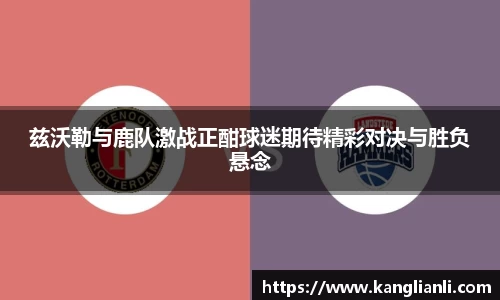 雷竞技RAYBET官方平台